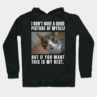 Cute Cat Show Funny Face Photo Hoodie